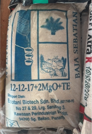 Baja Sebatian 12:12:17